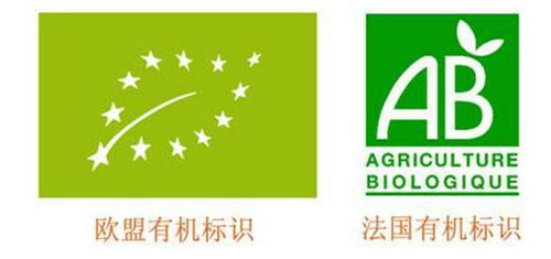 清河信息技術(shù)服務(wù)管理體系認(rèn)證步驟