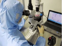 細(xì)胞技術(shù)服務(wù)與技術(shù)創(chuàng)新發(fā)展